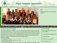 Tablet Screenshot of nfa.org.np